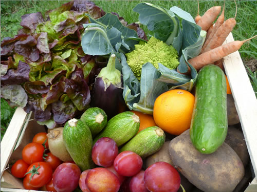 Organic food delivery & suppliers Herefordshire & the Midlands