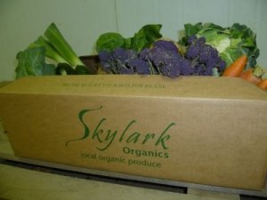 Organic Large Box - Vegetable Only